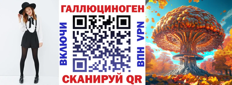 закладка  Богородск  Галлюциногенные грибы Magic Shrooms 